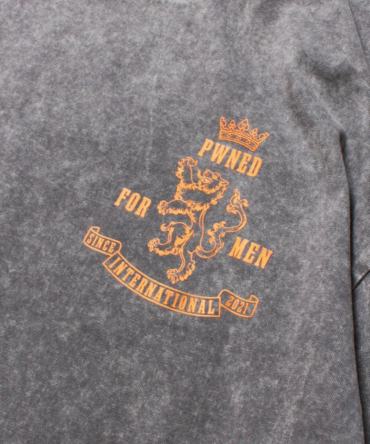 画像8: PWNED(パウンド) / EMBLEM EMBROIDERED WASHED S/S TEE (8)