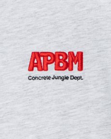 画像9: APPLEBUM(アップルバム) / Vintage Comfort T-shirt (9)