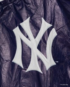 画像6: APPLEBUM(アップルバム) / "NY Yankees" Tyvek Stadium Jacket (6)