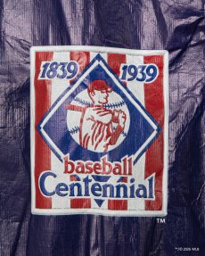 画像7: APPLEBUM(アップルバム) / "NY Yankees" Tyvek Stadium Jacket (7)