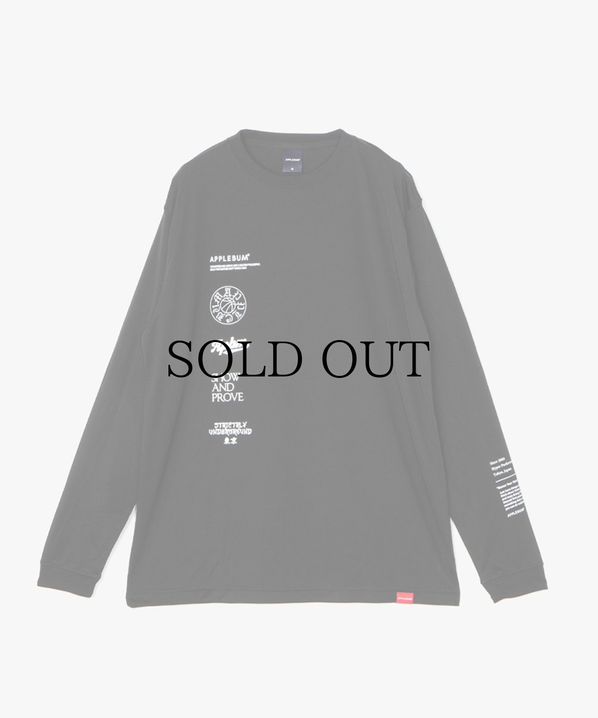 画像1: APPLEBUM(アップルバム) / Icon Dry L/S T-shirt (1)