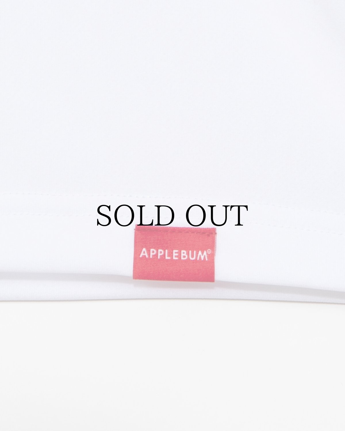 画像10: APPLEBUM(アップルバム) / Icon Dry L/S T-shirt (10)
