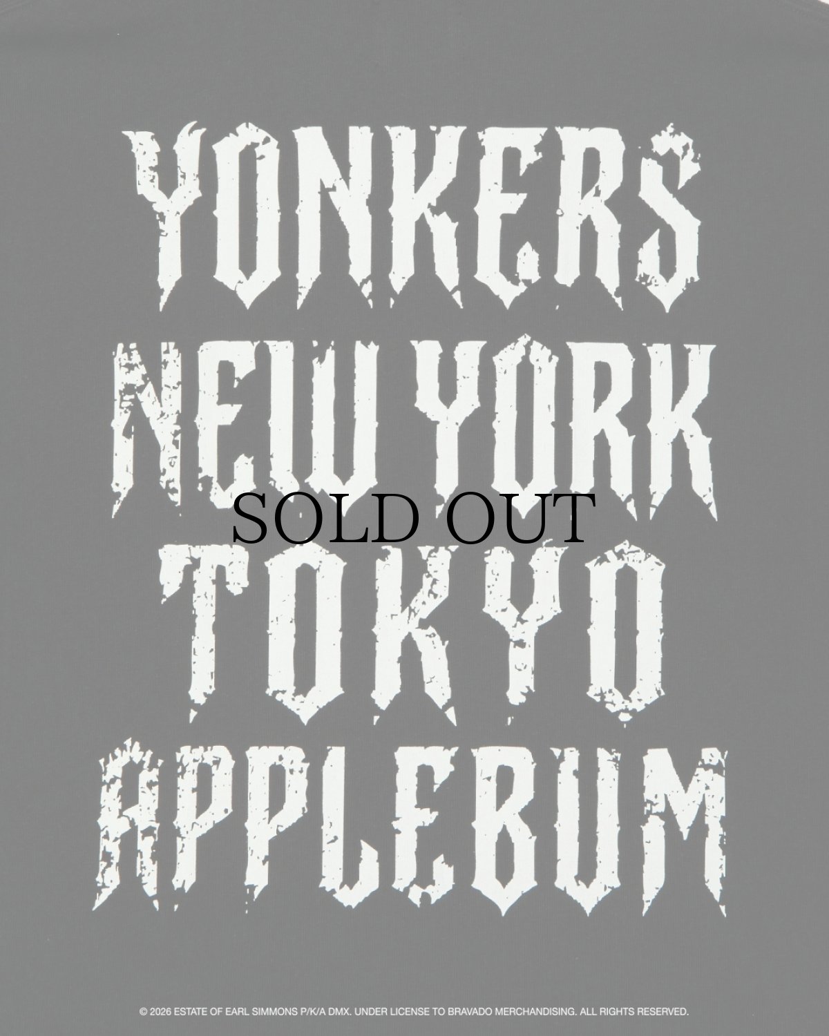 画像4: APPLEBUM(アップルバム) / Ride T-shirt (4)