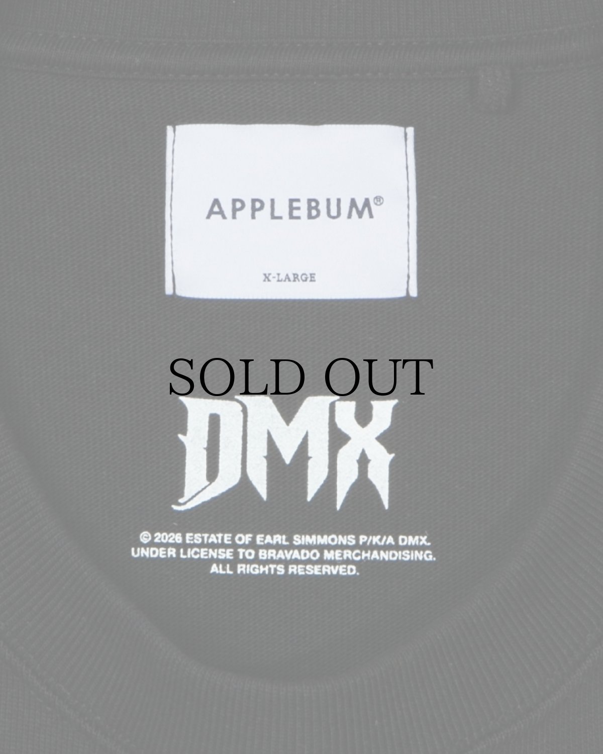 画像5: APPLEBUM(アップルバム) / Ride T-shirt (5)
