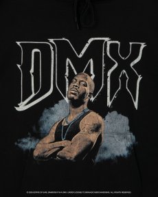 画像3: APPLEBUM(アップルバム) / Vintage Photo Hoodie (3)