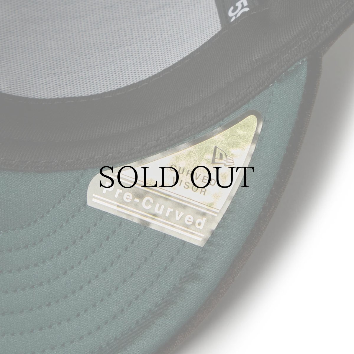 画像10: NEW ERA / PC 59FIFTY Velvet ベルベット ロサンゼルス・ドジャース (10)