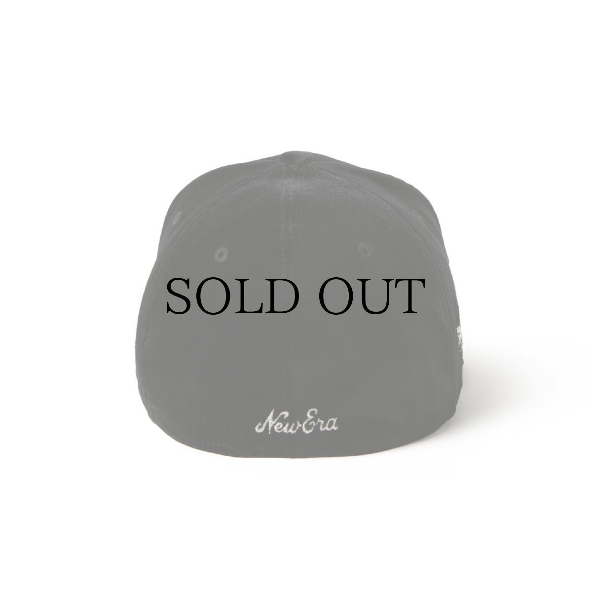 画像6: NEW ERA / PC 59FIFTY Velvet クラシックロゴ ベルベット (6)