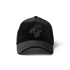 画像2: NEW ERA / 9FORTY A-Frame Velvet クラシックロゴ ベルベット (2)