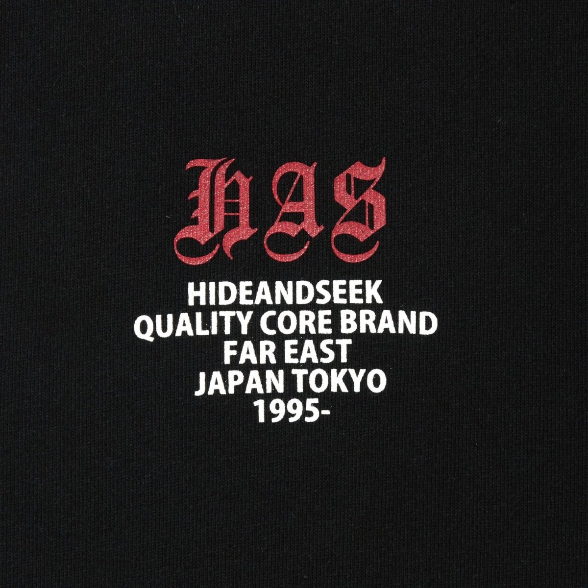画像7: HIDEANDSEEK(ハイドアンドシーク) / H.A.S Hooded Sweat Shirt (7)