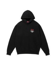 画像5: HIDEANDSEEK(ハイドアンドシーク) / H.A.S Hooded Sweat Shirt (5)