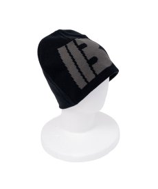 画像7: INTERBREED(インターブリード) / Road Logo Beanie (7)