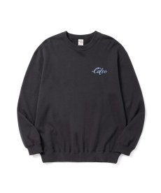 画像3: CALEE(キャリー) / EAGLE PINSTRIPING CREW NECK SW ＜NATURALLY PAINT DESIGN＞ (3)