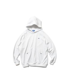 画像2: LFYT(ラファイエット) / LFYT BOX LOGO HOODIE (2)