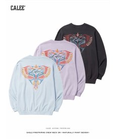 画像1: CALEE(キャリー) / EAGLE PINSTRIPING CREW NECK SW ＜NATURALLY PAINT DESIGN＞ (1)