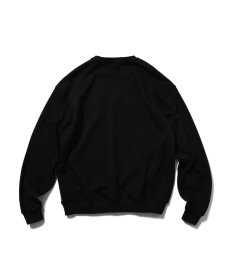 画像6: LFYT(ラファイエット) / Lafayette LOGO CREW SWEAT (6)