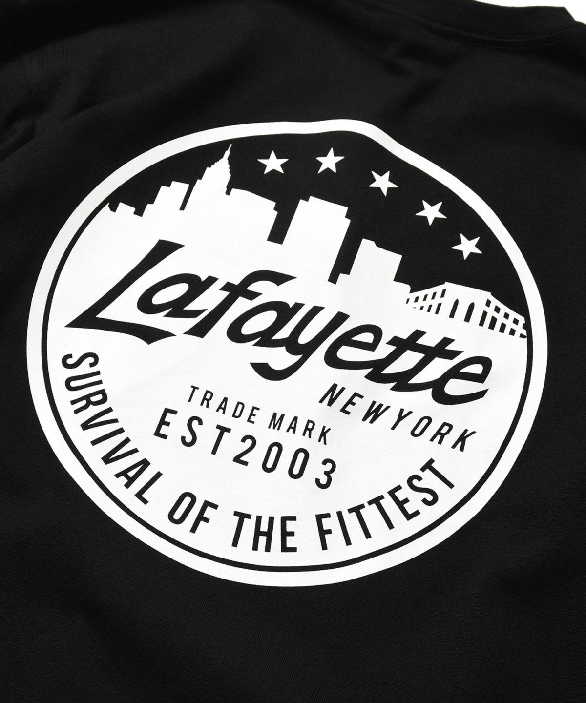 画像12: LFYT(ラファイエット) / METRO SKYLINE L/S TEE (12)