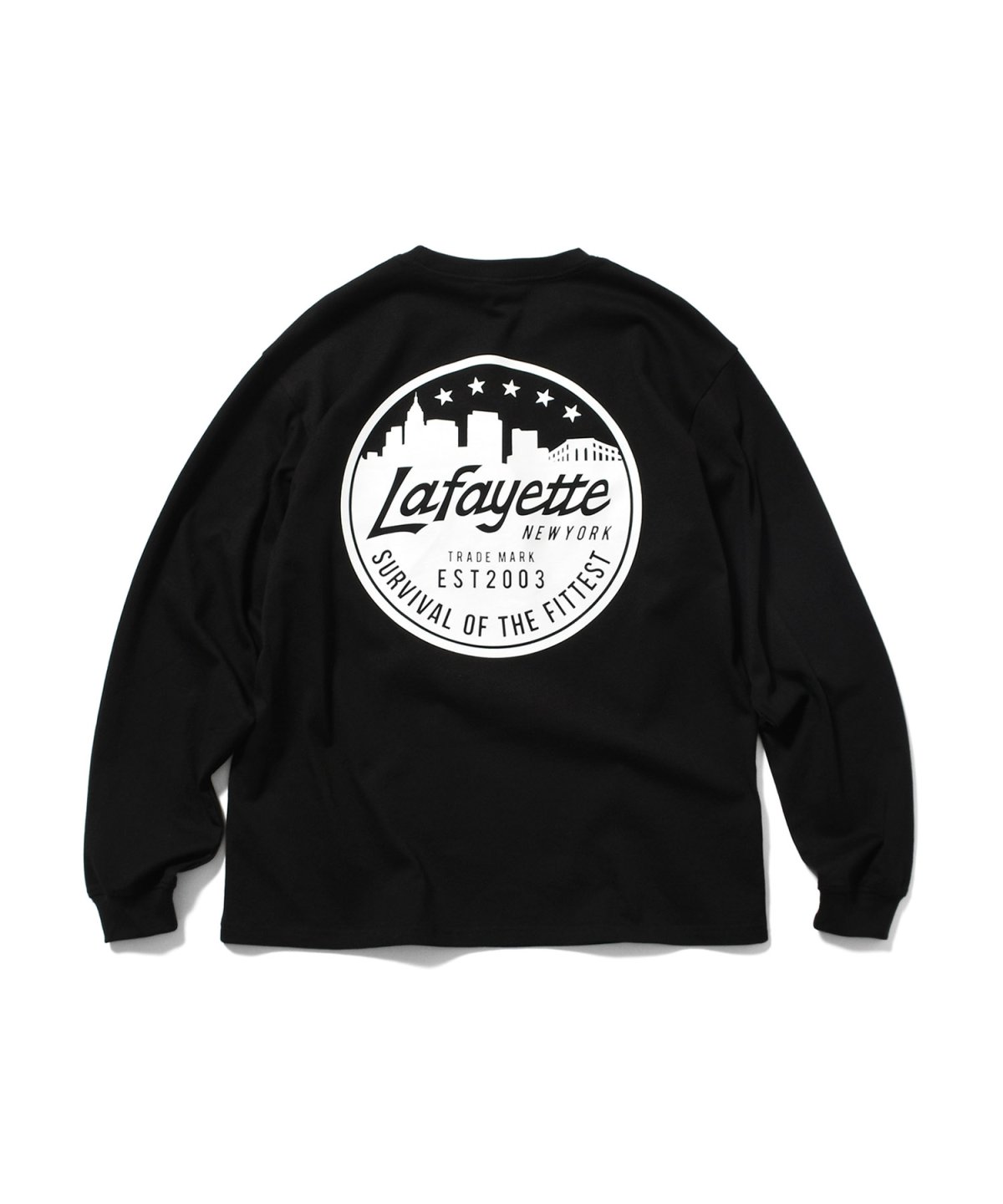 画像9: LFYT(ラファイエット) / METRO SKYLINE L/S TEE (9)
