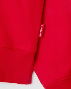 画像18: APPLEBUM(アップルバム) / Logo Embroidery Hoodie (18)
