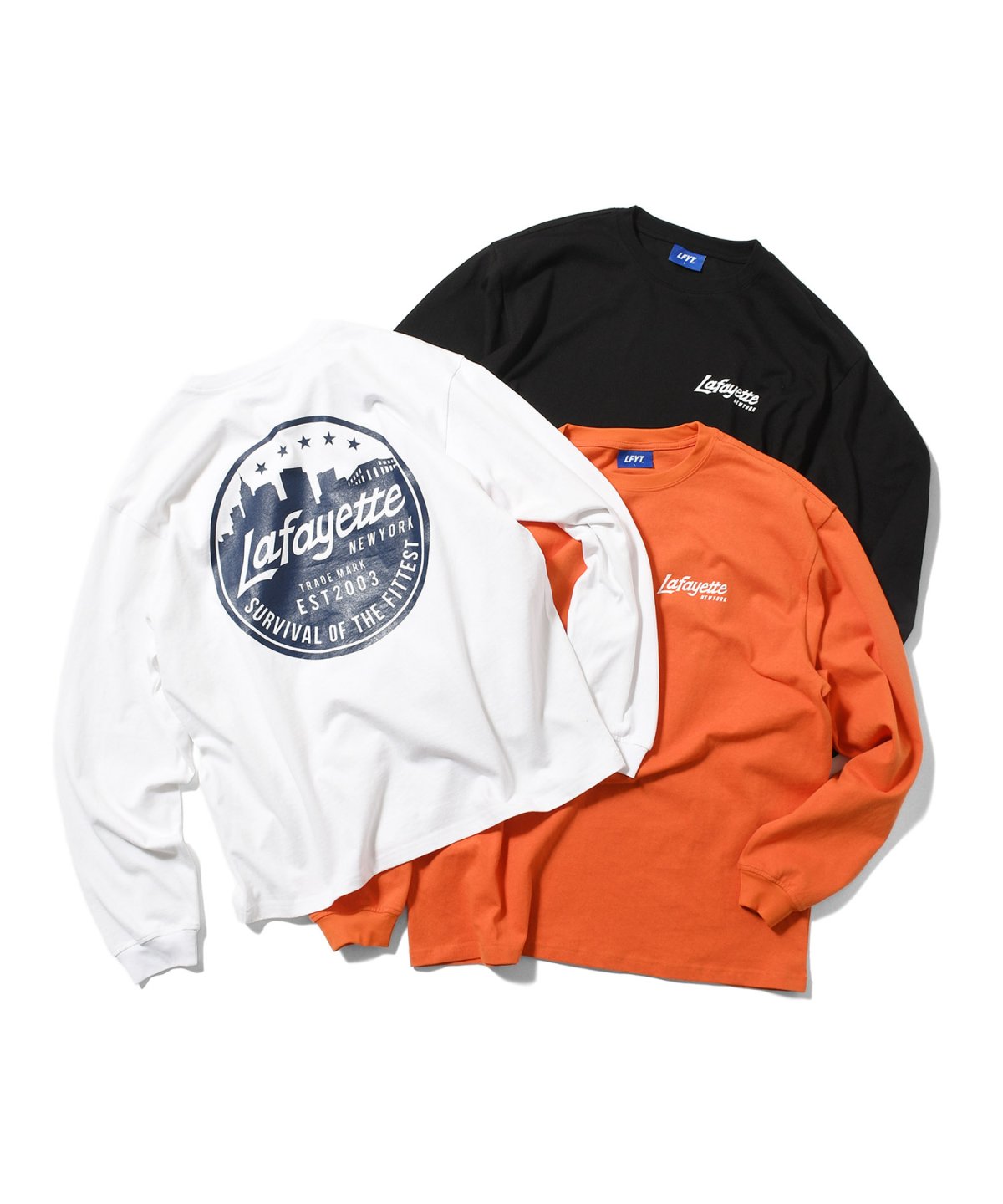 画像1: LFYT(ラファイエット) / METRO SKYLINE L/S TEE (1)