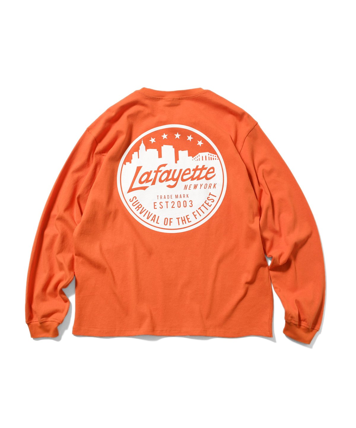 画像10: LFYT(ラファイエット) / METRO SKYLINE L/S TEE (10)