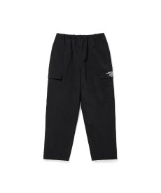 画像1: HIDEANDSEEK(ハイドアンドシーク) / Nylon 6P Pant (1)