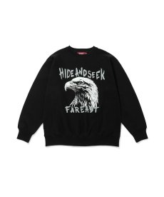 画像3: HIDEANDSEEK(ハイドアンドシーク) / Eagle Sweat Shirt(26aw) (3)