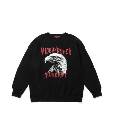 画像2: HIDEANDSEEK(ハイドアンドシーク) / Eagle Sweat Shirt(26aw) (2)