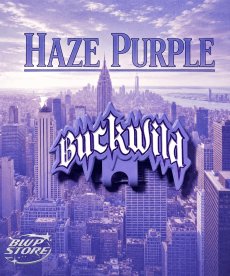 画像1: SIDEWAYZ / "Ghost Blip"Purple Haze Glow in the dark (1)