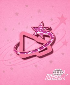 画像1: SIDEWAYZ / Star Flip (1)
