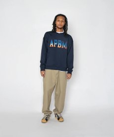 画像16: APPLEBUM(アップルバム) / APPLEBUM × Dickies Work Pants (16)