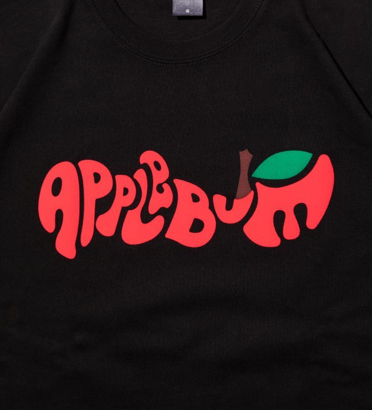 supreme  tシャツ  Apple avirex applebum